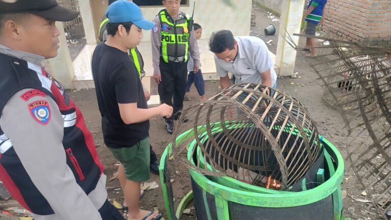 Polresta Sidoarjo Bongkar Dua Arena Sabung Ayam di Lokasi Berbeda*