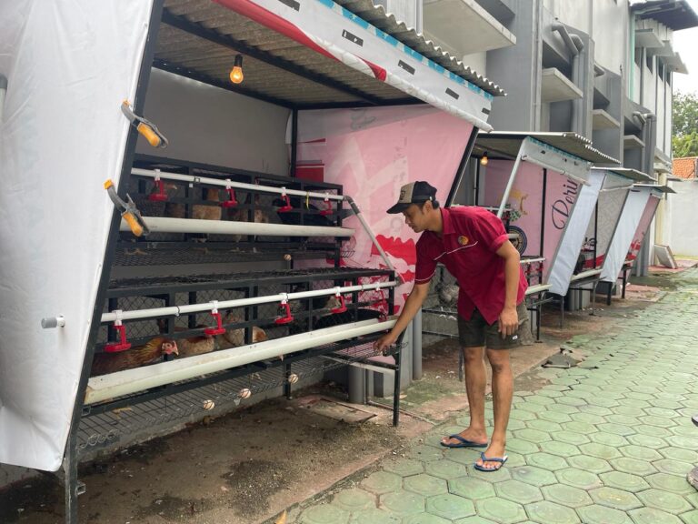 Implementasi Binaan Produktif,, Lapas Sidoarjo Panen Telur Ayam Bersama Binaan