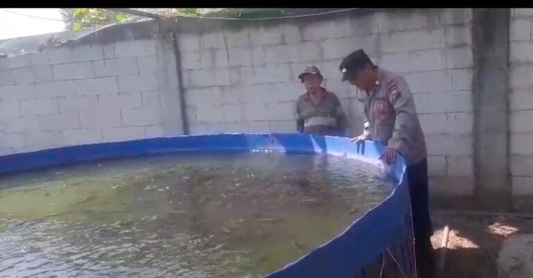 Tak Hanya Jaga Kamtibmas, Polisi di Rembang Dampingi Budidaya Lele Warga