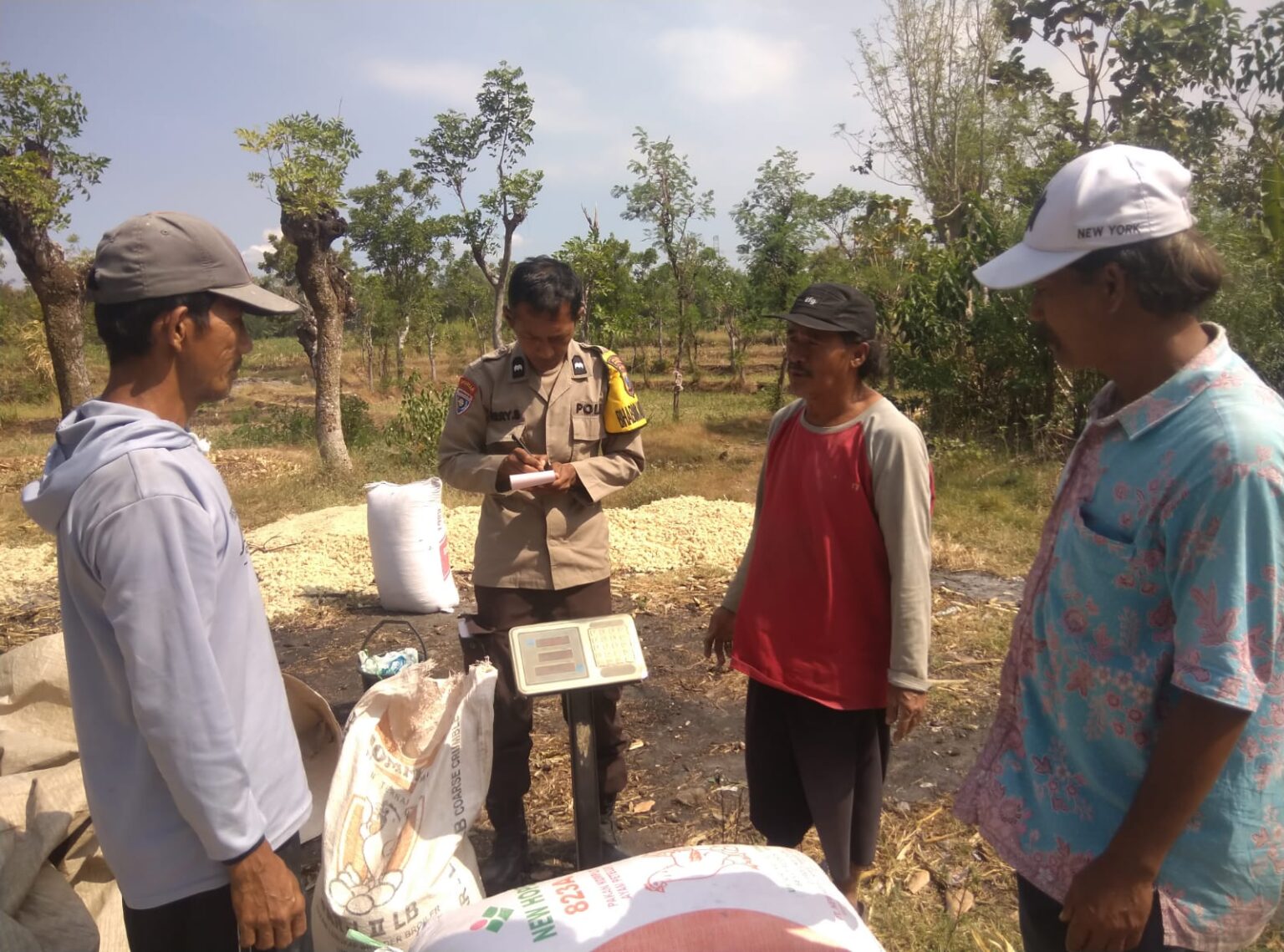 Polisi Dampingi Petani Bantu Distribusi 2,8 Ton Jagung Petani Rebono ke Bulog
